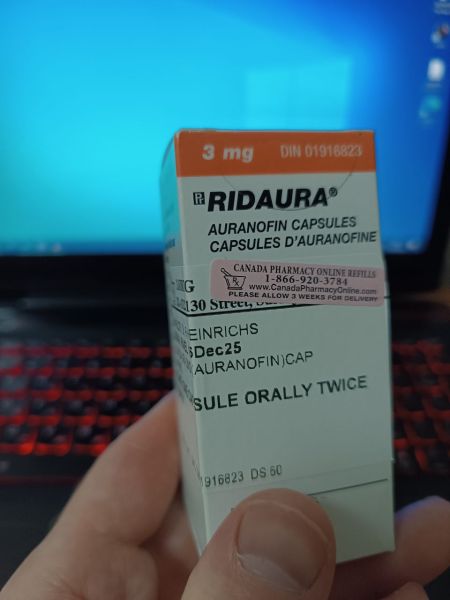 Файл:Photo 2026-02-17 20-45-34.jpg