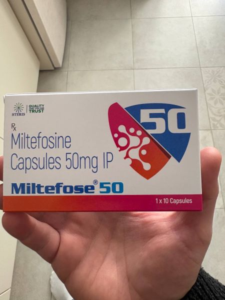 Файл:Photo 2026-03-07 11-11-28.jpg